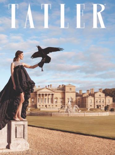 Cub and Grey Review Tatler Magazine
