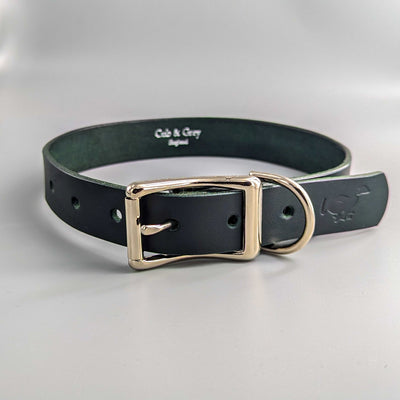 Custom Leather Dog Collars with silver