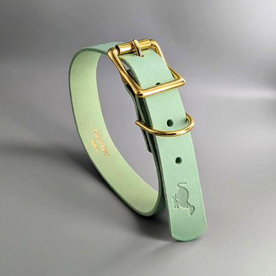 Custom Made Dog Collars turquoise leather