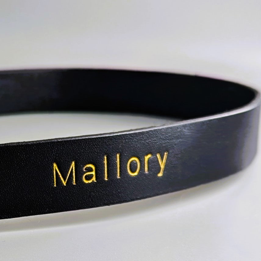 Custom Made Dog Collars with gold name