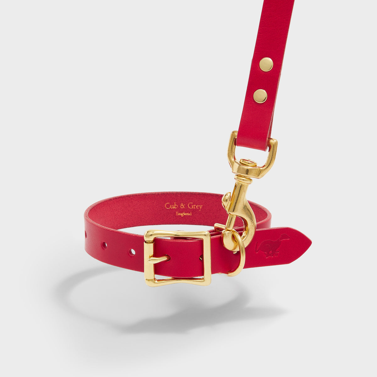 Dog Collar And Leash Set 