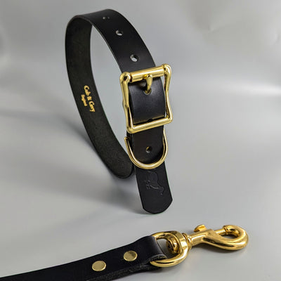 Dog Collar And Leash Set black