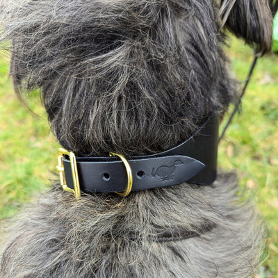 Leather Hound Collars black sighthound