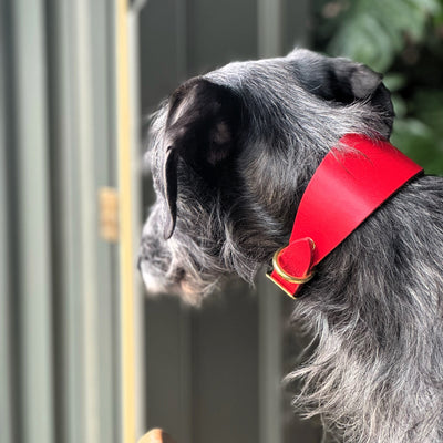Leather Hound Collars red uk