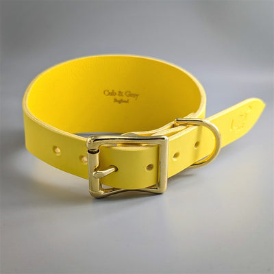 Leather Hound Collars yellow handmade