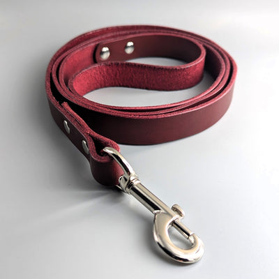 Luxury Leather Dog Lead stainless steel