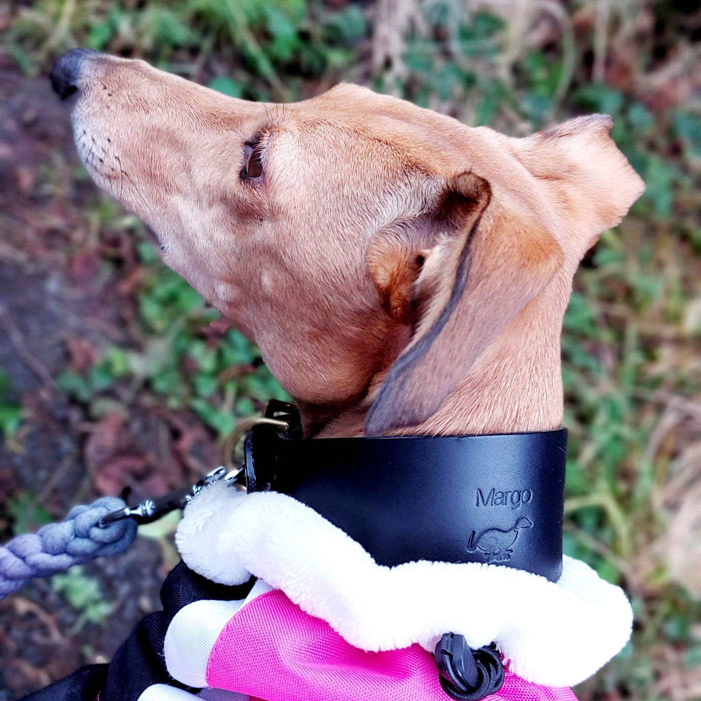 Personalised Leather Hound Collar Midnight Blue