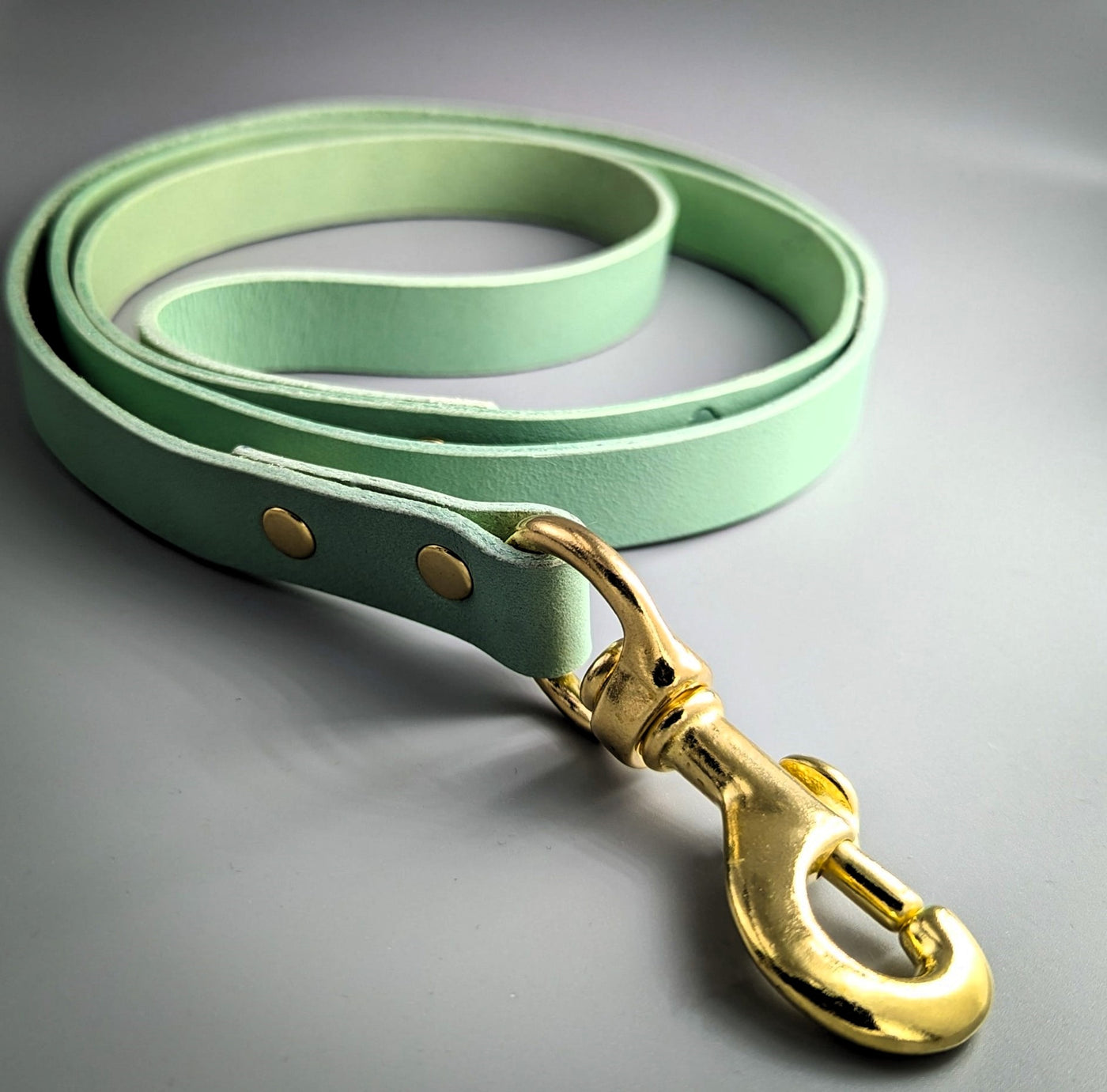 Luxury Leather Dog Lead - Pistachio