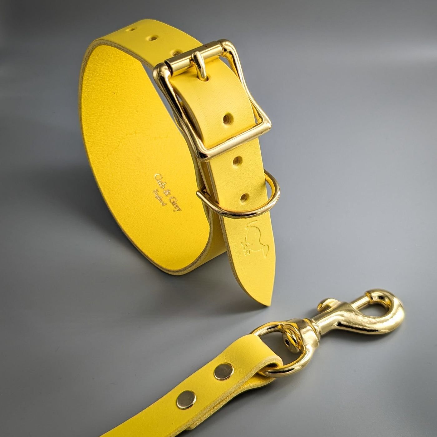 Whippet Collar and Lead yellow