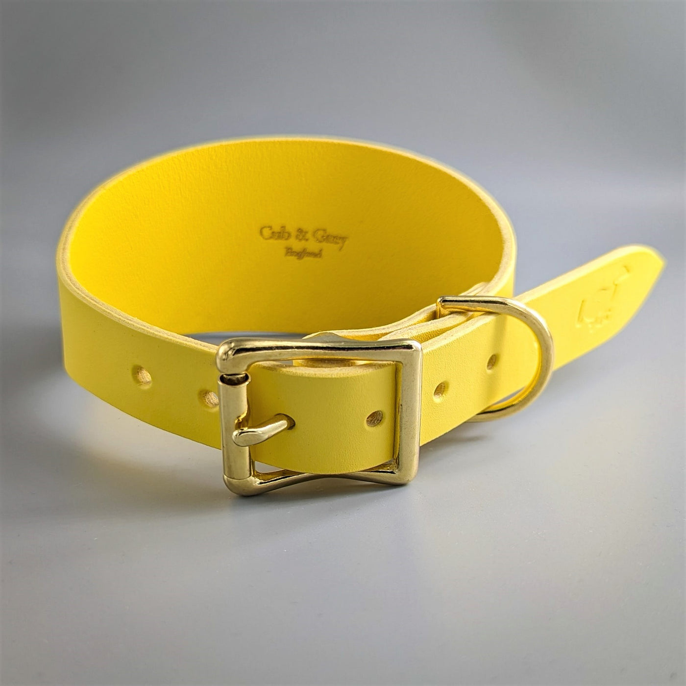 Leather Hound Collars - - Salcombe Yellow