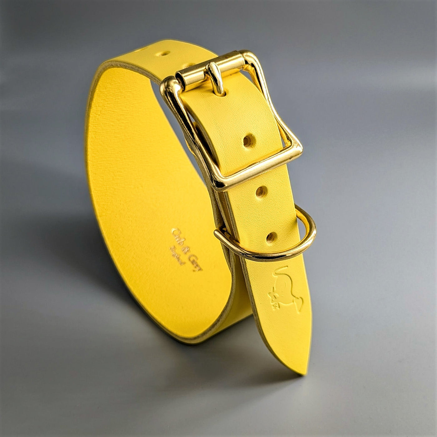 Leather Hound Collars - - Salcombe Yellow