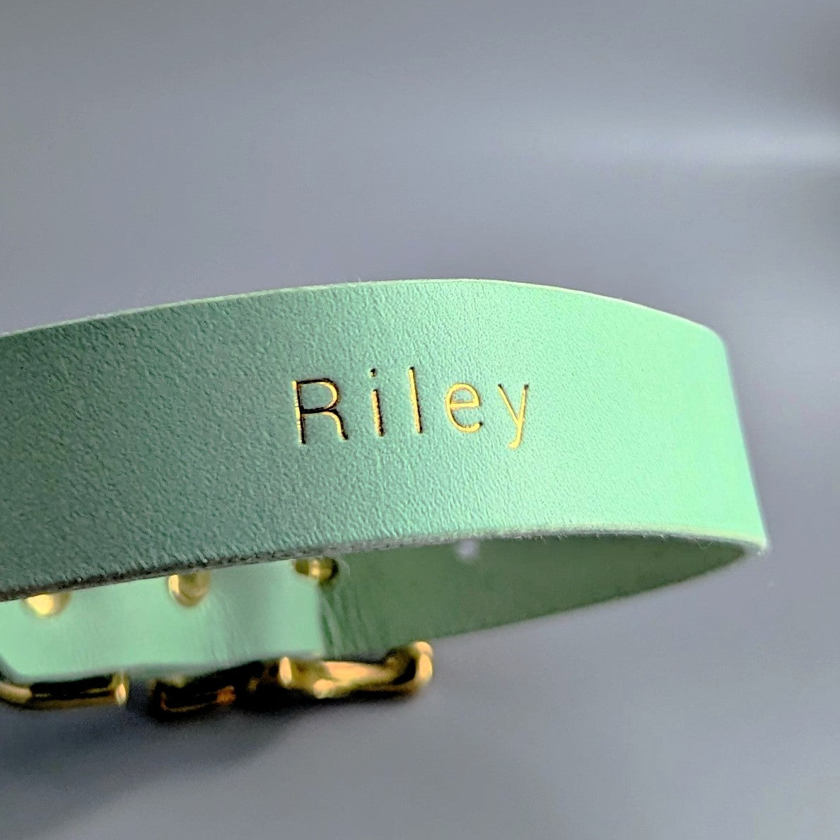 Custom Made Dog Collars - Pistachio