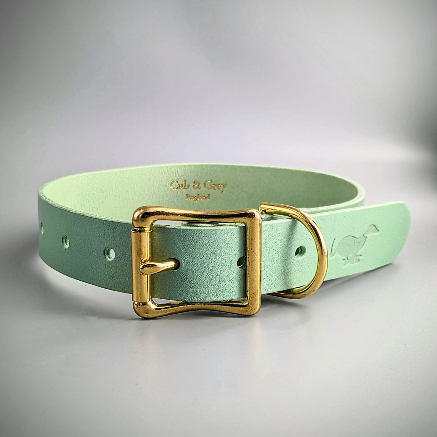 Custom Made Dog Collars - Pistachio