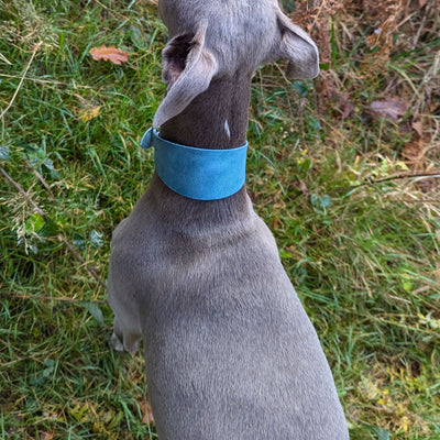 Personalised Leather Hound Collar - Christmas Edition Glacier