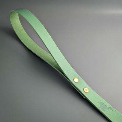 Whippet Collar and Lead - Pistachio