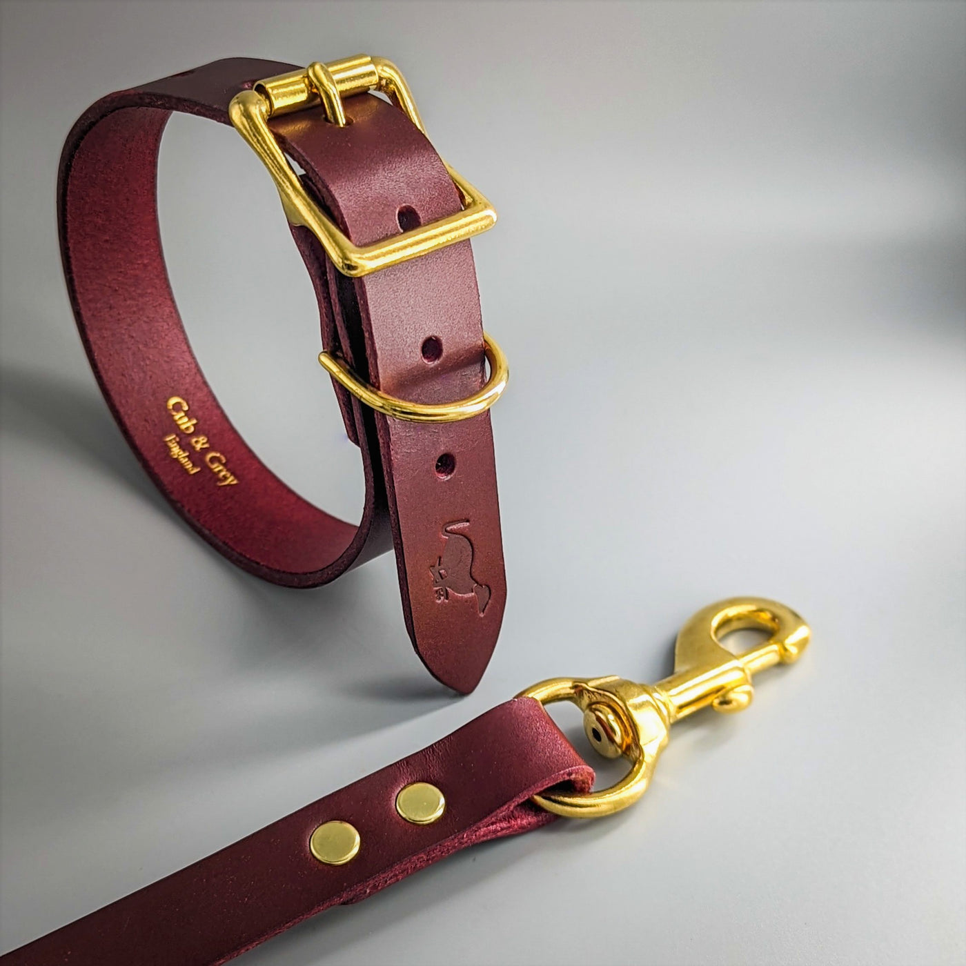 Dog Collar And Leash Set purple