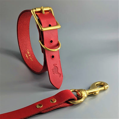 Personalised Leather Dog Collar and Lead Set in Cavendish Red