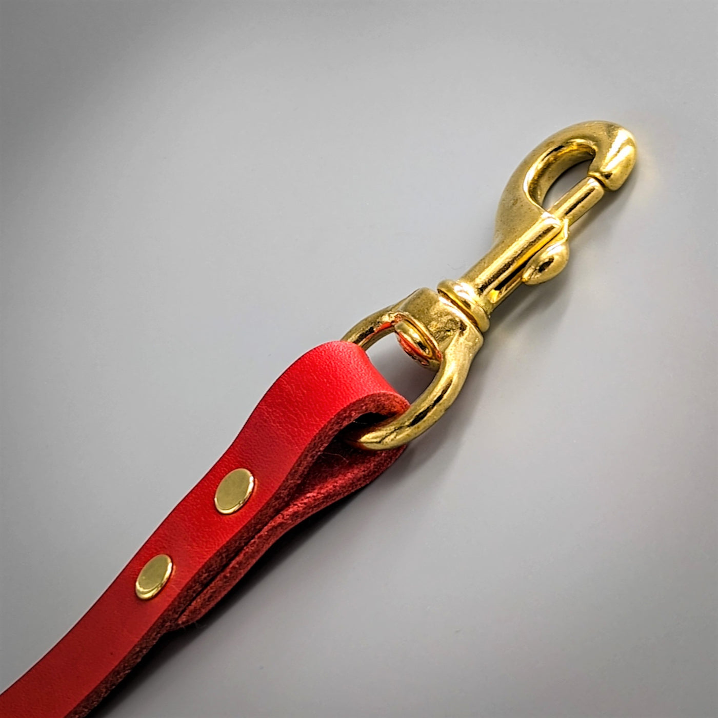 Personalised Leather Dog Lead in Cavendish Red with brass trigger clip