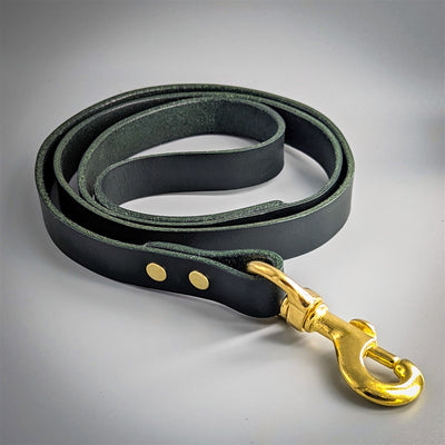 Classic Leather Dog Collar & Lead Set in Sacramento Green
