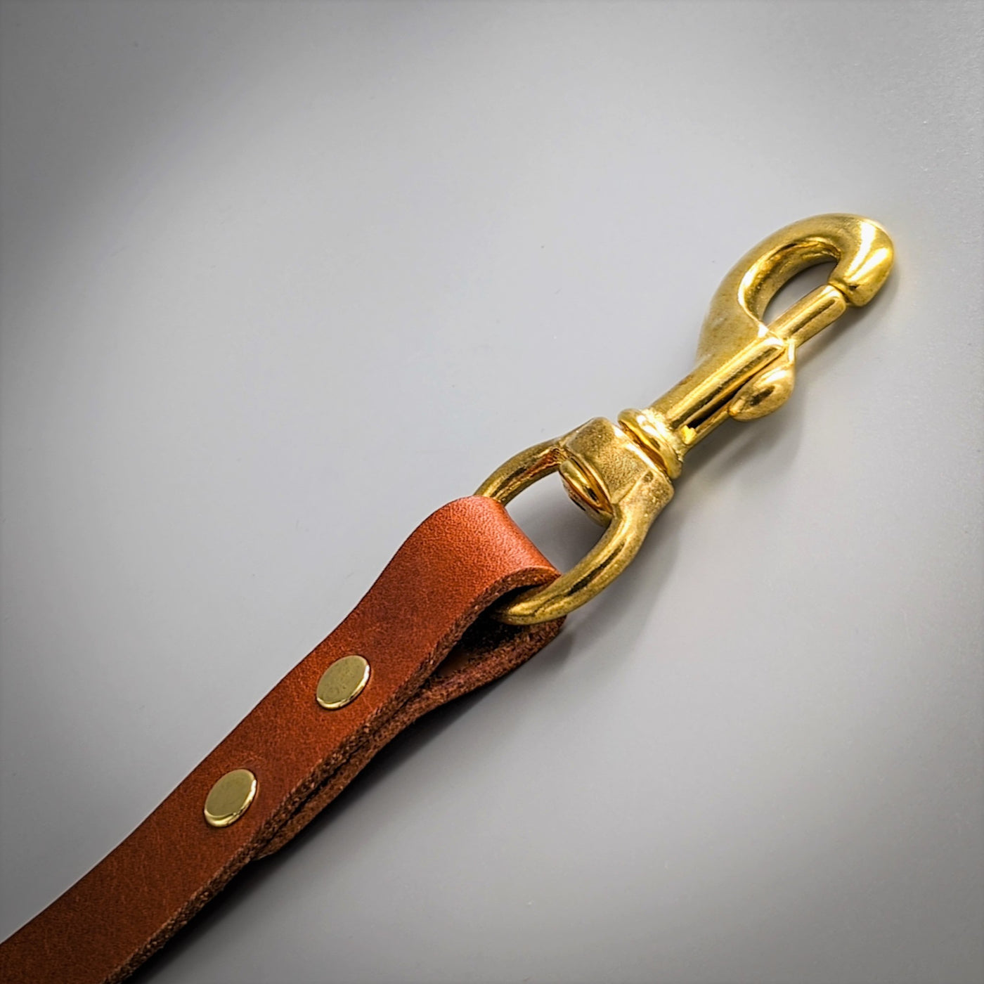 Personalised Leather Dog Lead in Whisky Tan with logo