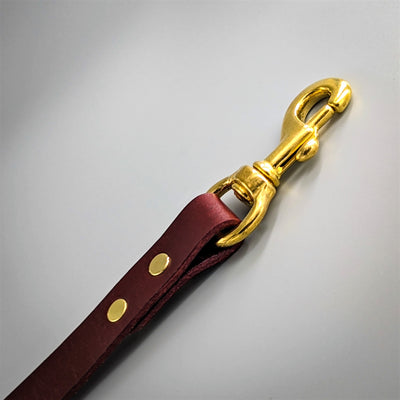 Luxury Leather Dog Lead brass