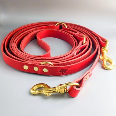 Leather Dog Leash, 2m, 3m, Long Lead in Cavendish Red