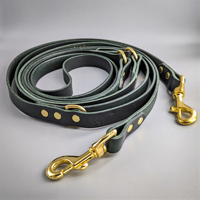 Leather Dog Leash, 2m, 3m, Long Lead in Sacramento Green