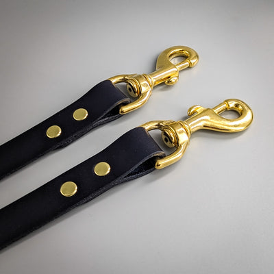 Two Dog Leash Coupler blue brass