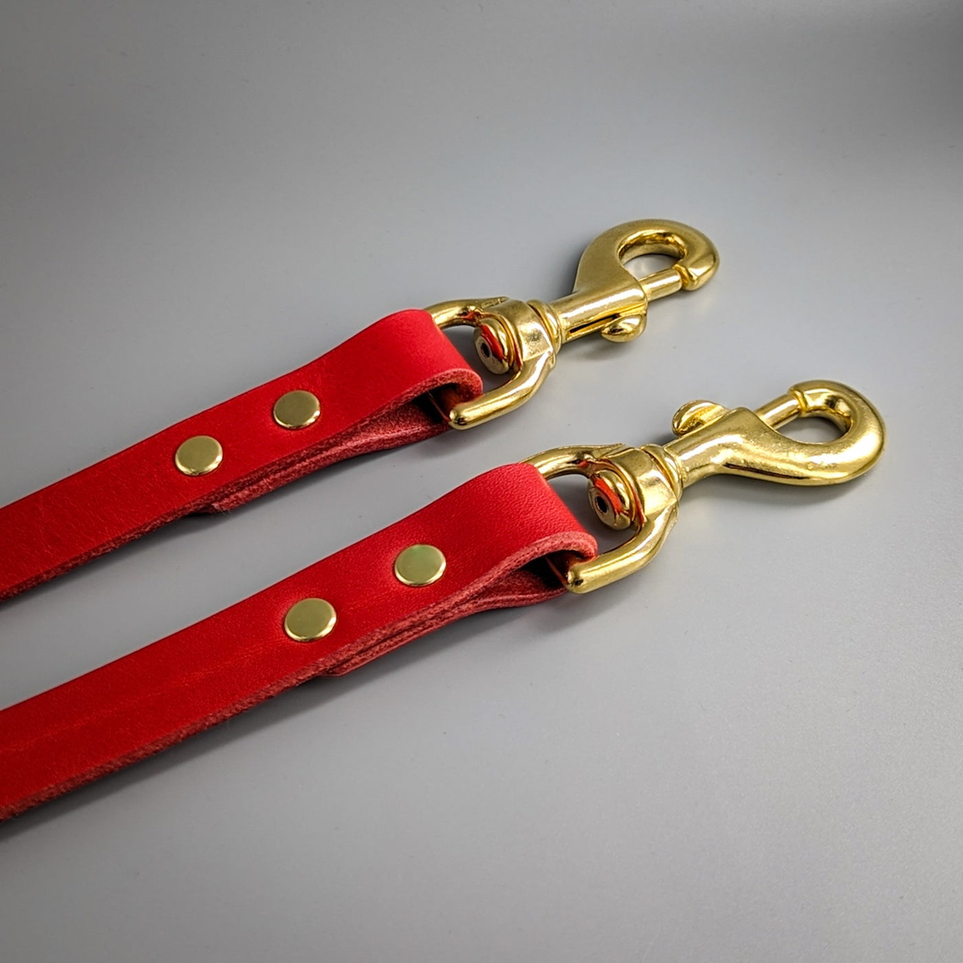 Leather Dog Leash, 2m, 3m, Long Lead in Cavendish Red two clips