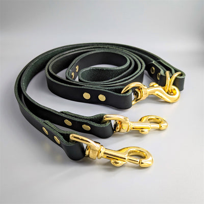 Couple Lead, leash for walking two dogs in Sacramento Green with brass